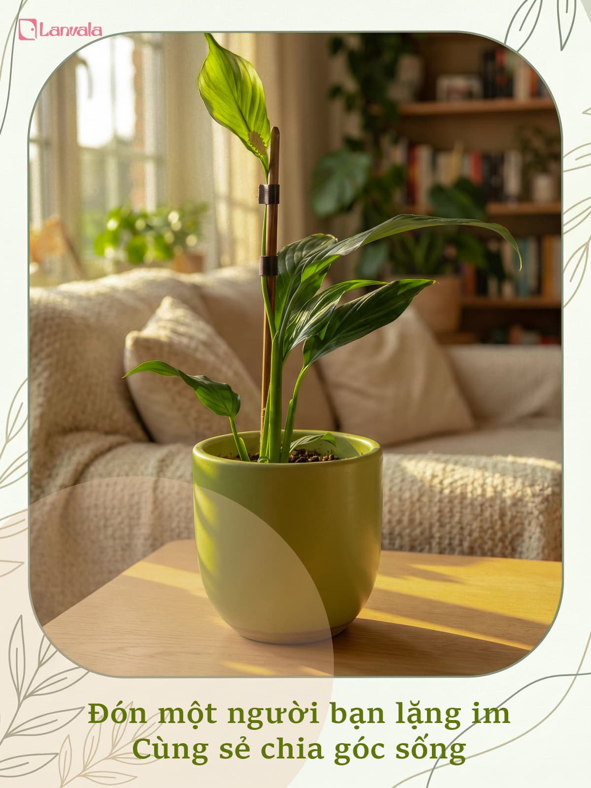Lan Ý để bàn Lanvala (Cao 40cm) | Chậu Mint dáng trứng | Cây cảnh để bàn dễ chăm
